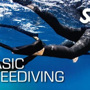 SSI BASIC FREEDIVING