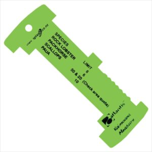 Atlantis Measurer