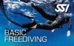 472517_Basic-Freediving-Small.jpg