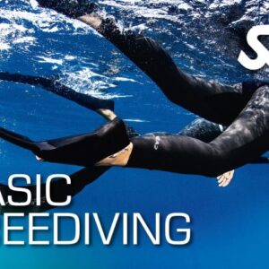 SSI BASIC FREEDIVING
