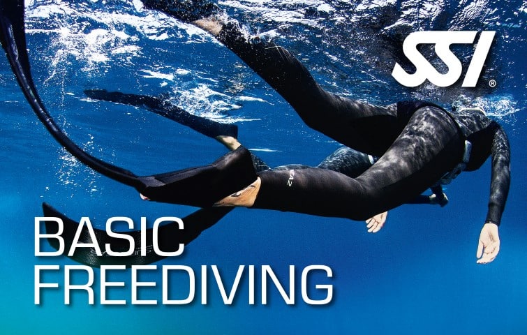 472517_Basic-Freediving-Small.jpg