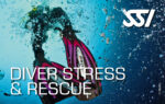 Diver-Stress-Rescue-2-scaled-1.jpg