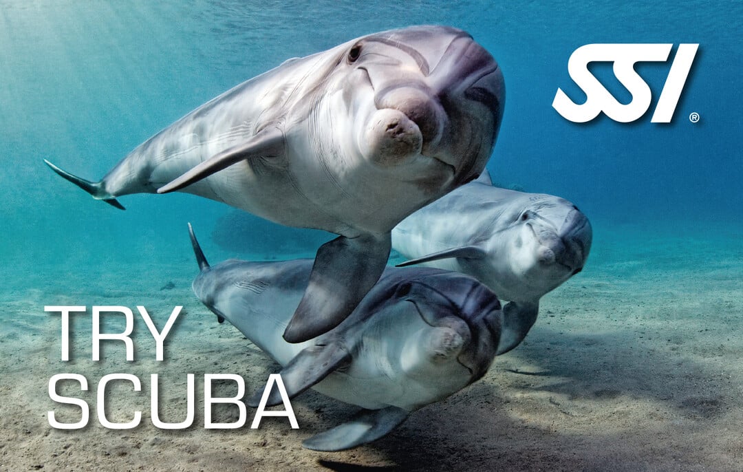 Presentation-Try-Scuba.jpg