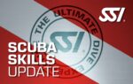 Scuba-Skills-Update.jpg